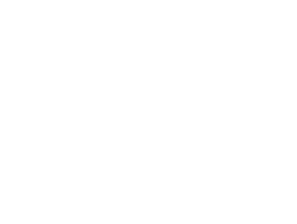 GIZ