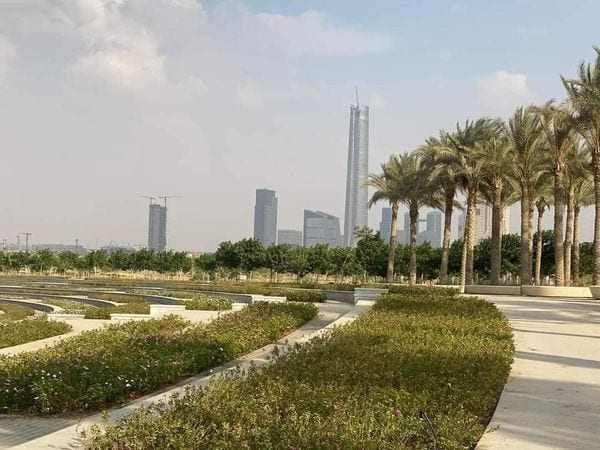 Green River Park with Iconic Tower skyline